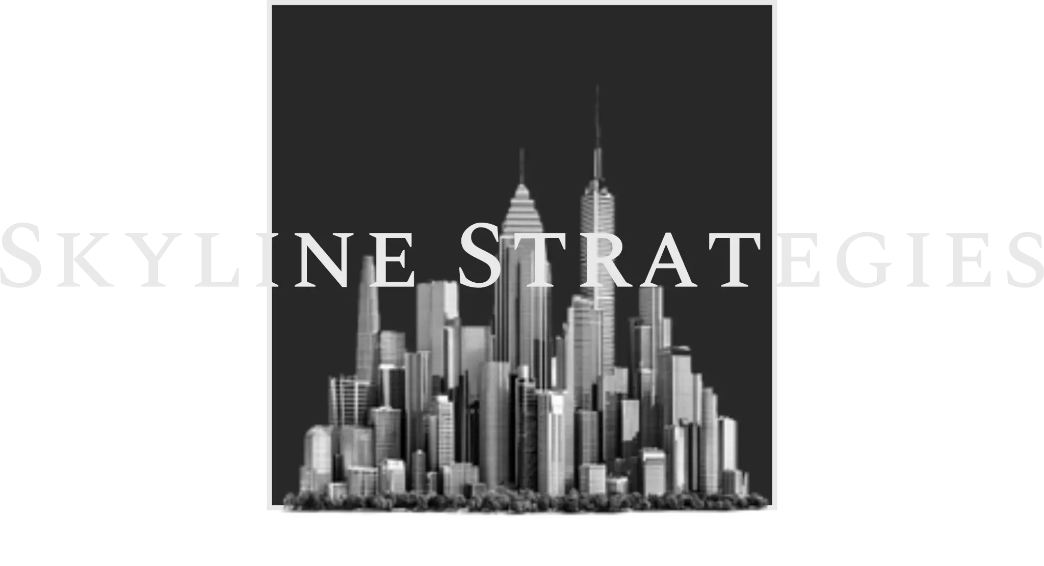 Skyline Strategies Consulting LLC logo